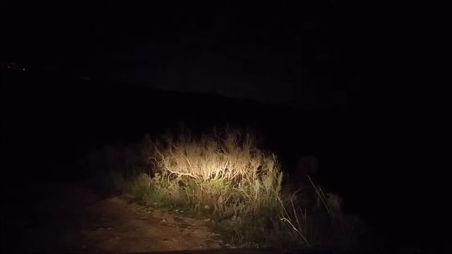 опасная прогулка на джипе в ночь смотреть онлайн