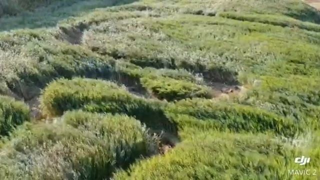 Покатушки Кирилловка... смотреть онлайн