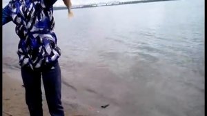 Кп Белые росы 11 06 2013 Ловля окуня