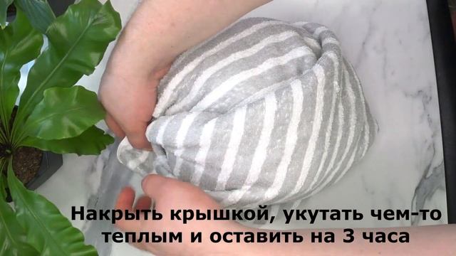 Вот как нужно готовить КУРИЦУ ! Бегите все за КУРИЦЕЙ ! Оставил ГРУДКУ в ГОРЯЧЕМ МОЛОКЕ на 3 часа смотреть онлайн