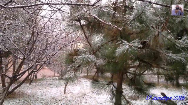 В Ташкенте выпал снег смотреть онлайн