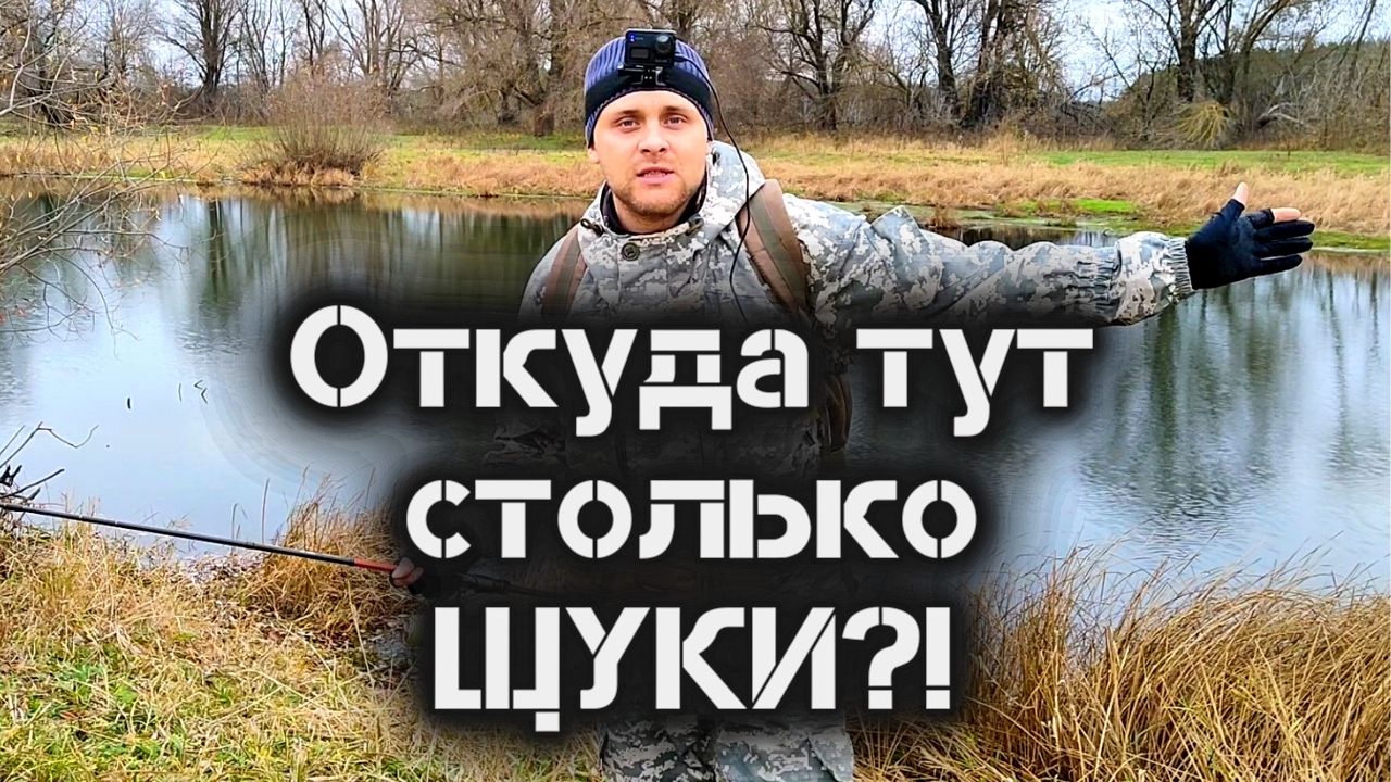 Ловля щуки спиннингом на нерестовых озёрах, каналах, болотах, лужах.