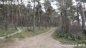 Территория Коттедж №3 в Чернолучье Омская область | Аренда коттеджей в Омске | kottege55.ru
