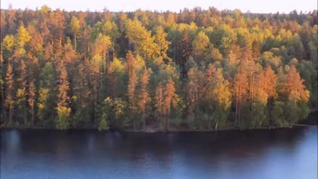 Озеро Ястребиное. Июнь 2019 смотреть онлайн