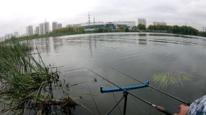 Рыбалка в Братеево. Лещ и плотва, ловля разнорыбицы. Тц Мари. Флагман, Армадейл, Гретхем