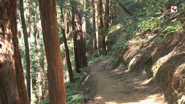 Нагорная проповедь Иисуса Христа смотреть онлайн