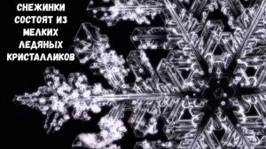 Почему снег скрипит под ногами/Отвечаем на вопросы маленького Почемучки/Обучающее видео для детей