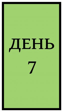 День 7