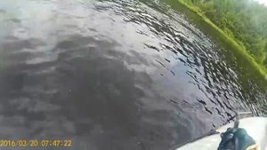 Рыбалка на Выгу