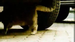 МультFильмы За нами следят