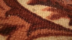 Пылесос DEXP M-800V сосет за копейки?