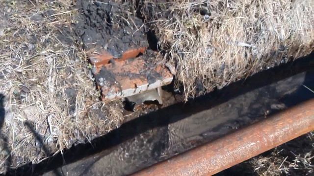 Смотри до конца делай грядку сади рядиску! смотреть онлайн