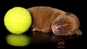 Известные люди. Алекс Кернс (©Alex Cearns)