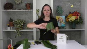 Aspidistra Techniques: Framing Floral Techniques Companion Video