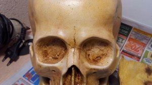 ✧Как покрасить череп из гипса✦✧How to paint a plaster skull✧