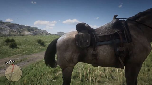 Крокодил и лошадь сговорились ? Red Dead Redemption 2 #8 От Первого Лица