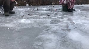 Рыбалка на ЧЕРТА/ Зимняя рыбалка на реке/ Ловля плотвы