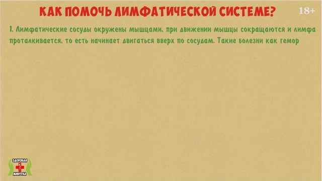 Первая ПОМОЩЬ Лимфатической Системе. Продукты для здоровья лимфы