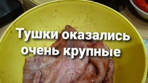 Не покупайте такие кальмары!!!