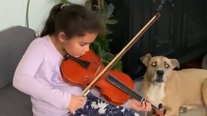 Singing Dog | Violin Duet