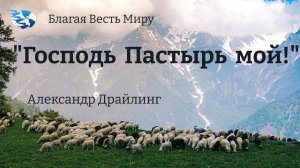 "Господь Пастырь мой !" / Александр Драйлинг / 10.02.24