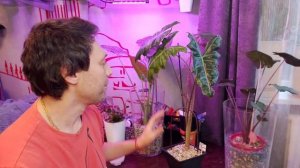 Цветочный Рум Тур часть3