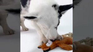 Плюшевая игрушка с пищалкой и канатными ножками