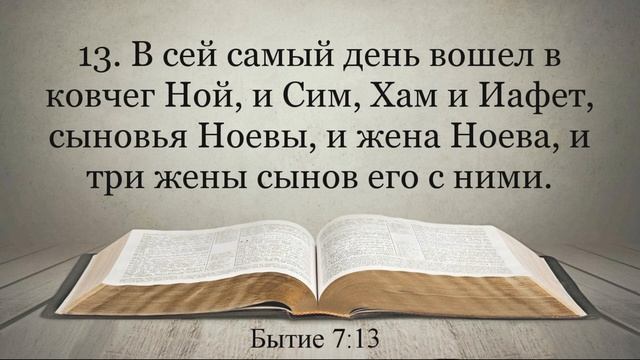 Лучшая Видео Библия. Чтение Бытие. Главы 6-8. Синодальный перевод смотреть онлайн