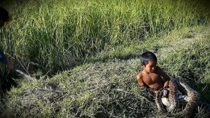 Змеиные дети_Камбоджа