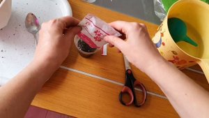 Пересадка, уход, содержание. Орхидея макодес петола