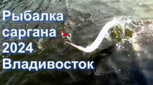 рыбалка на саргана в июне 2024