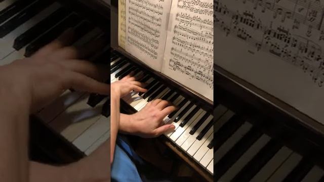 Beethoven Sonata op.13 Pathétique I- 3 Соната 8 Патетическая_ пульс, артикуляция.mp4