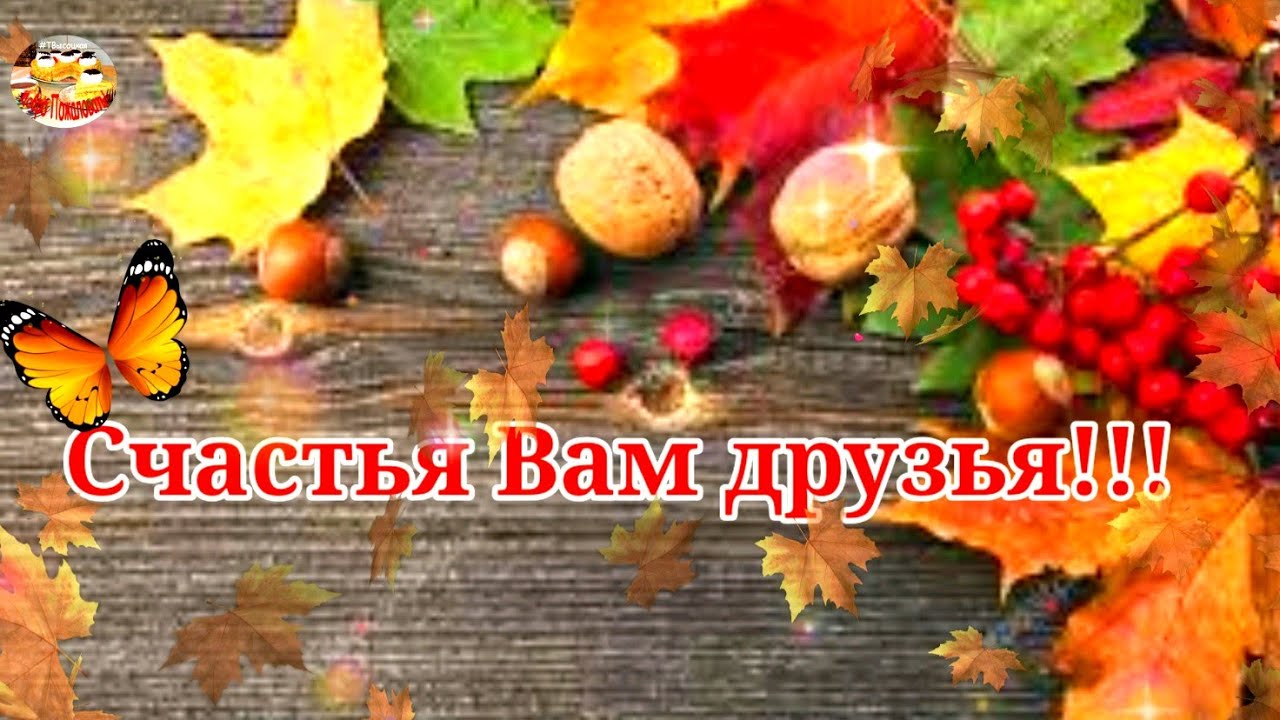 Счастья Вам Друзья! Музыкальное пожелание.