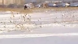 снегоход икар 4