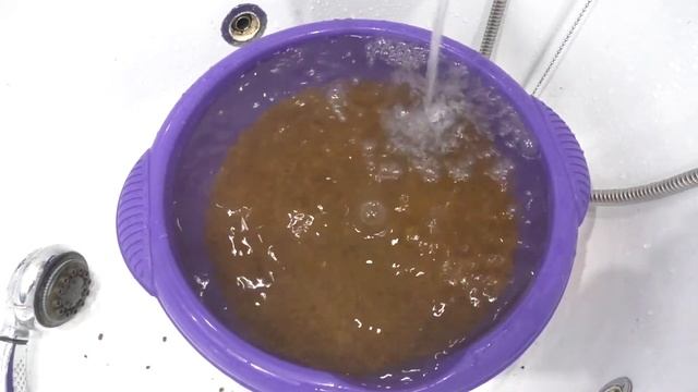 Запуск аквариума Часть 9. Прошло 4 года! смотреть онлайн