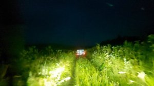 Выезжаем из тайги.
Место Сайдып Солтонский район урочище "Пихтовая ловушка"сезон дягиля 2024 окончен