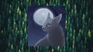 СИНЯЯ ЗВЕЗДА: ИСТОРИЯ ОДНОГО БЕЗУМИЯ | Коты-Воители