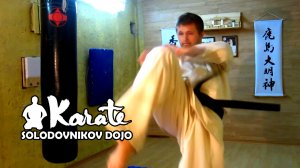 Удар коленом хизо гери / hizo geri / kyokushin karate кекусинкай каратэ / муай тай / ММА / кунг фу