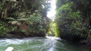 Rotorua Rafting -  New Zealand White Water River Rafting