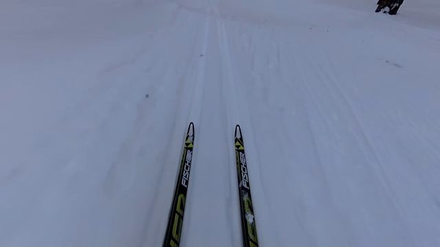 TISA Race Cap и FISCHER SpeedMax скатываю с горки смотреть онлайн