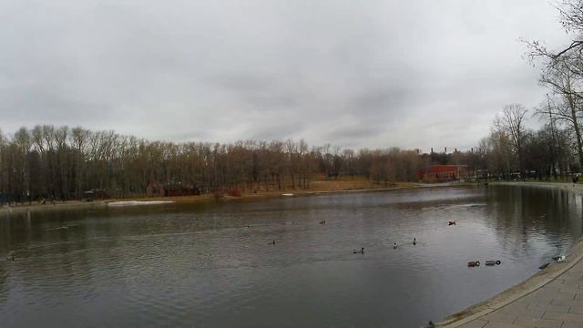 Пруд Бекет смотреть онлайн