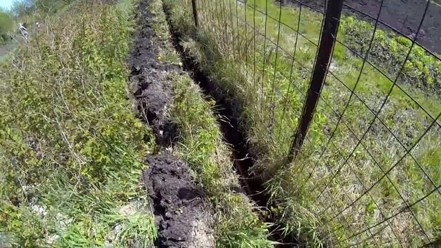 Выращивание карпа в маленьком пруду возле дома, эксперимент ч. 20 смотреть онлайн