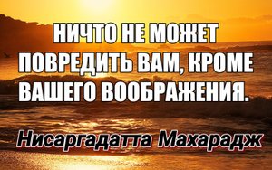 НИСАРГАДАТТА МАХАРАДЖ. Свобода делать то, что нравится — это настоящее рабство. Настоящая свобода...
