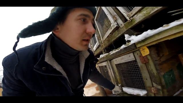 5 ошибок при строительстве клеток для кроликов  | Дневник Кроликовода №5| Арболитич