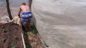 КАК ПОЙМАТЬ ЯЩЕРИЦУ