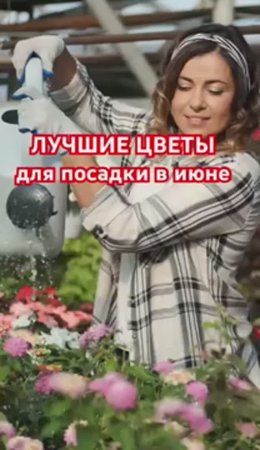 ЛУЧШИЕ ЦВЕТЫ для посадки летом
