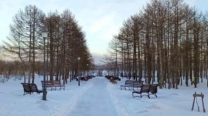 Магнитогорск, заснеженный парк у Вечного огня, замёрзшая река Урал (02.01.2024)