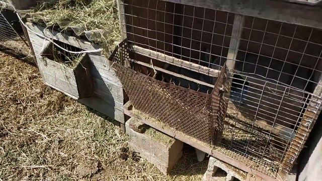 Итоги МАРТА //Жизнь в деревне !!! смотреть онлайн