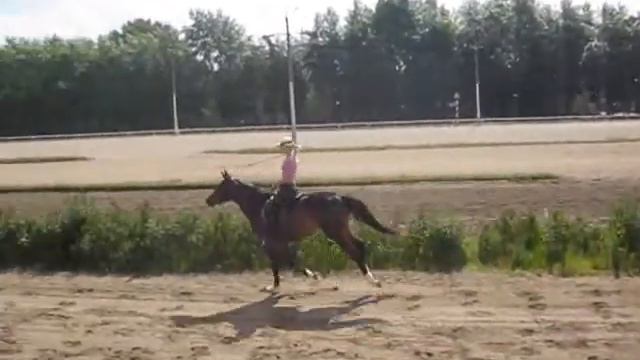 Ипподром и мои лошади смотреть онлайн