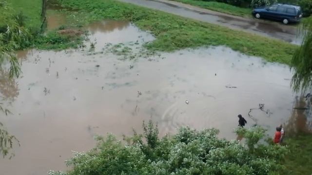Спасибо родной власти за заботу смотреть онлайн
